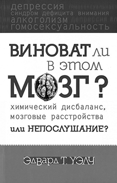 brain